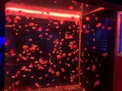 -多彩贵州城极地海洋世界