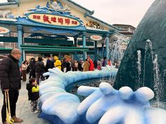 -海合安成都极地海洋公园