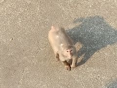 -无锡动物园·太湖欢乐园