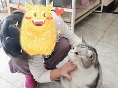 -有猫儿腻咖啡厅.猫咖