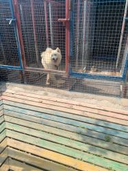 -萌宠亲子动物乐园(槐房万达店)