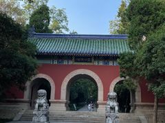 -灵谷景区