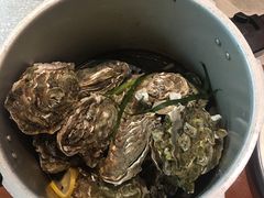 -杨氏青龙虾·羊蝎子(金盛路总店)