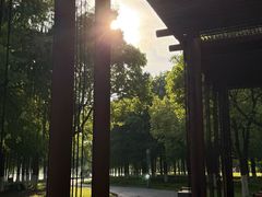 -南汇新城城市公园