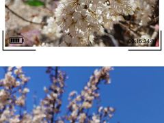 -崂山九水游览区