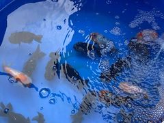 -华声天桥民俗文化园