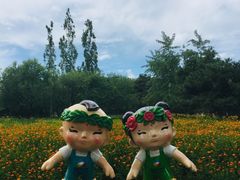 -北京植物园南门售票处