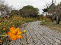 -无锡梅园公园