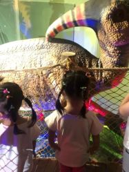 -恐龙探索乐园(磁器口店)