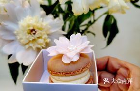 Happy Pistachio Jasmine Dark Chocolate Macaron