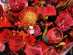 -环球港凯悦 · 享悦中餐厅