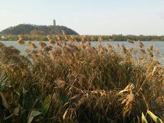 android_upload_pic-焦山风景区