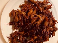 -日丰园海肠水饺·老字号大连海鲜(和平广场店)