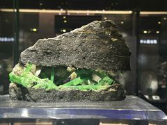 -湖南省地质博物馆