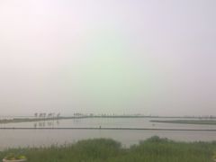 -合肥滨湖国家森林公园