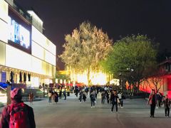 -大雁塔北广场音乐喷泉