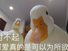 -麻蒲碳烤肉(远景路1号店)