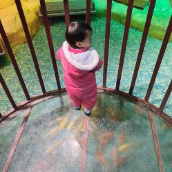 -酷嗒动物文化乐园(cutezoo西溪乐天城店)