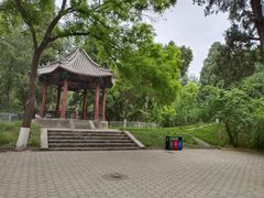 -保定市动物园