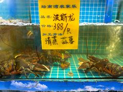 -坛南湾阿强农家乐.海鲜大排档老字号(福州地标美食店)