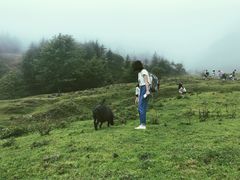 -硗碛藏寨·神木垒景区