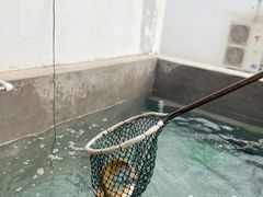 -向外鱼乐·土菜·虹鳟鱼