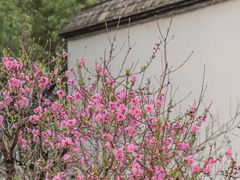 -乌山风景区