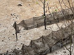 -东寨港红树林旅游区