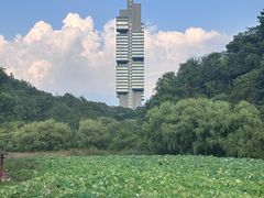 -KimPro 辛普乐概念韩餐