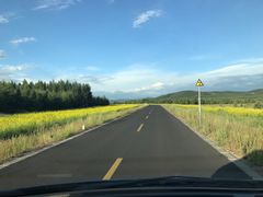 -塞罕坝国家级自然保护区