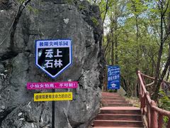 -千岛湖石林