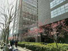 -北京八中游泳馆