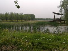 -东郊湿地公园