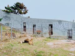 -西霞口神雕山野生动物世界
