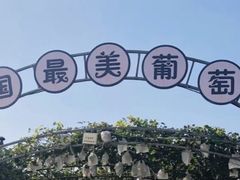 -大泽山风景名胜区