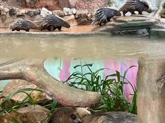 -乐和乐都主题乐园