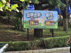 -大连森林动物园