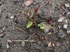 -THE ALLEY 鹿角巷(合生汇店)