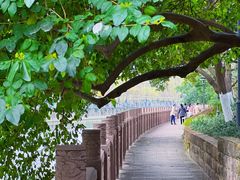 -成都市活水公园