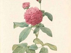 -八哥美术·成人美术画室(总校区)