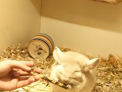 -龙猫仔乐园(惠福东路店)