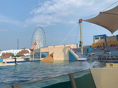 -秦皇岛乐岛海洋王国