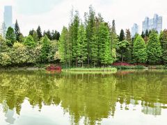 景点-广州珠江公园