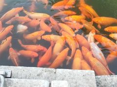 -恭王府博物馆