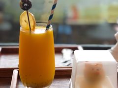 -柴犬高等学院·狗咖·柴犬售卖·宠物训练