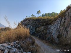 -黄埔油麻山森林公园