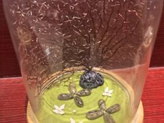 -青岛贝壳博物馆