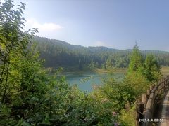 -武陵山森林公园