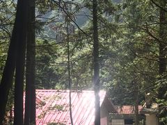 -庐山天沐温泉度假村