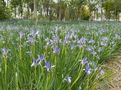 -天津东丽湖风景区